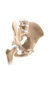 Hip Rehabilitation  Forms